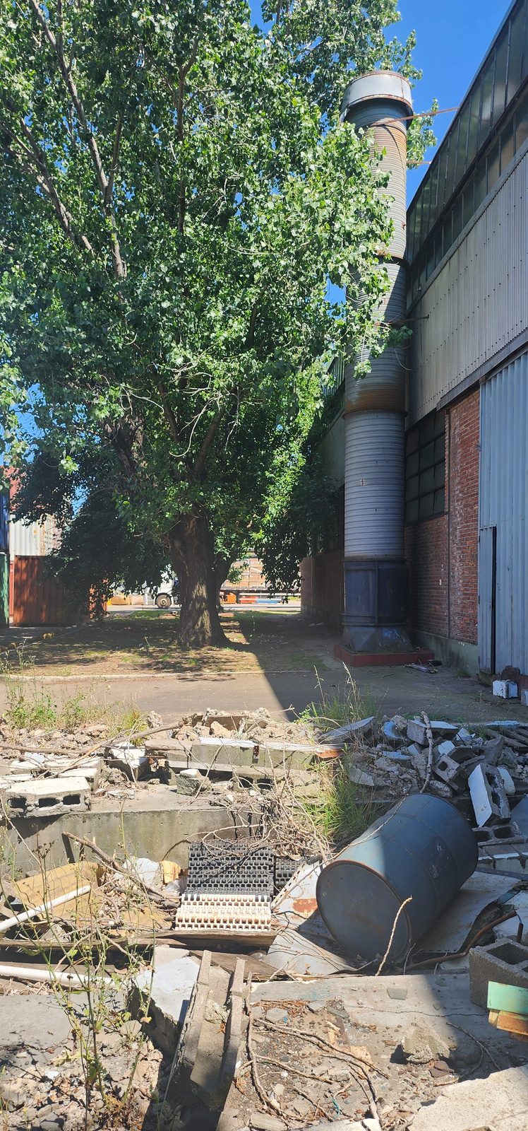 Situacion existente — situación existente